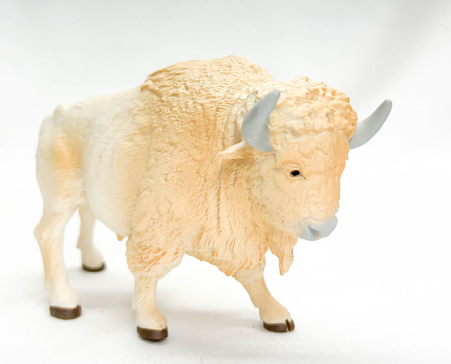 White Buffalo