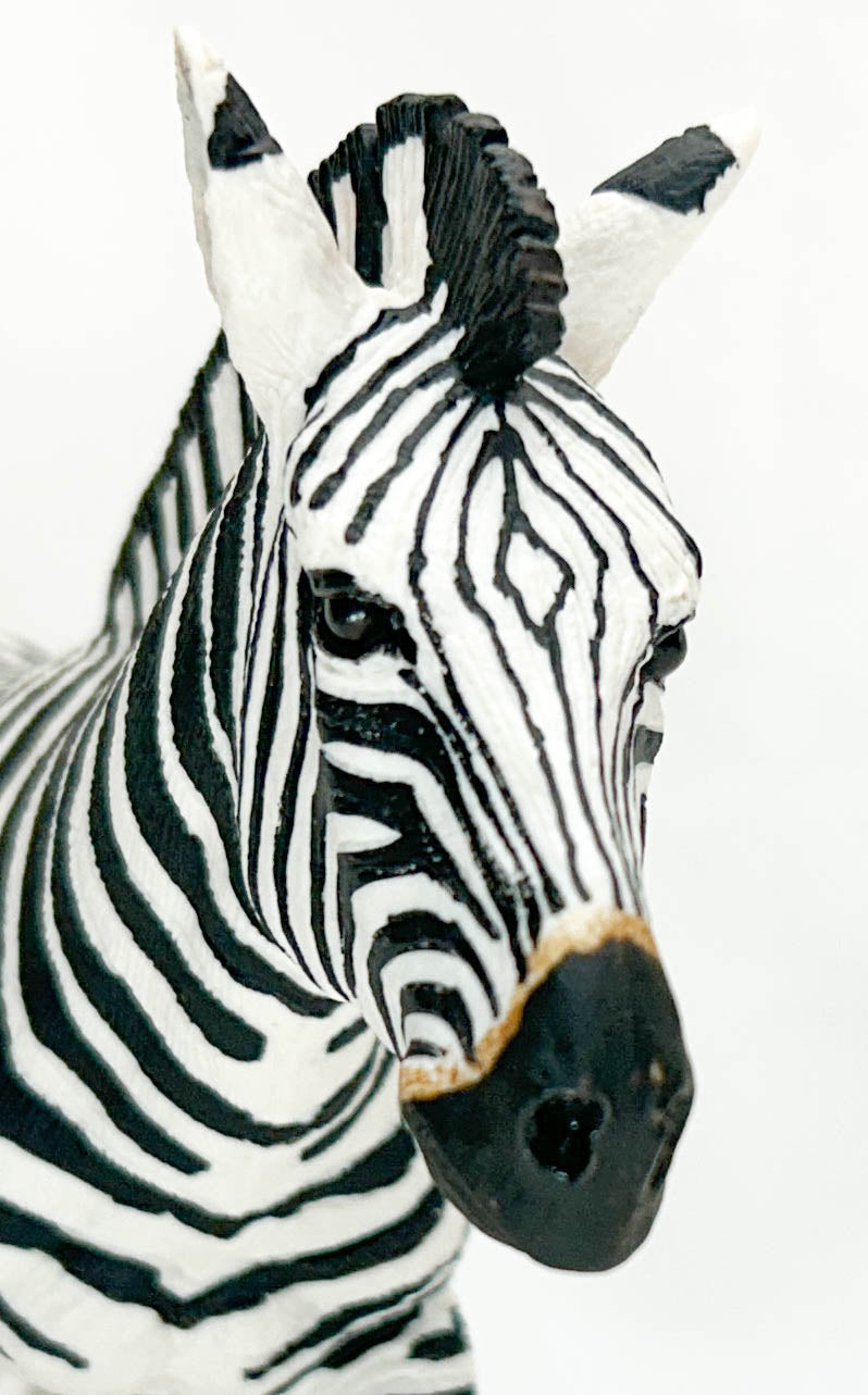 Zebra Mare (Large)