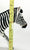 Zebra Mare (Large)