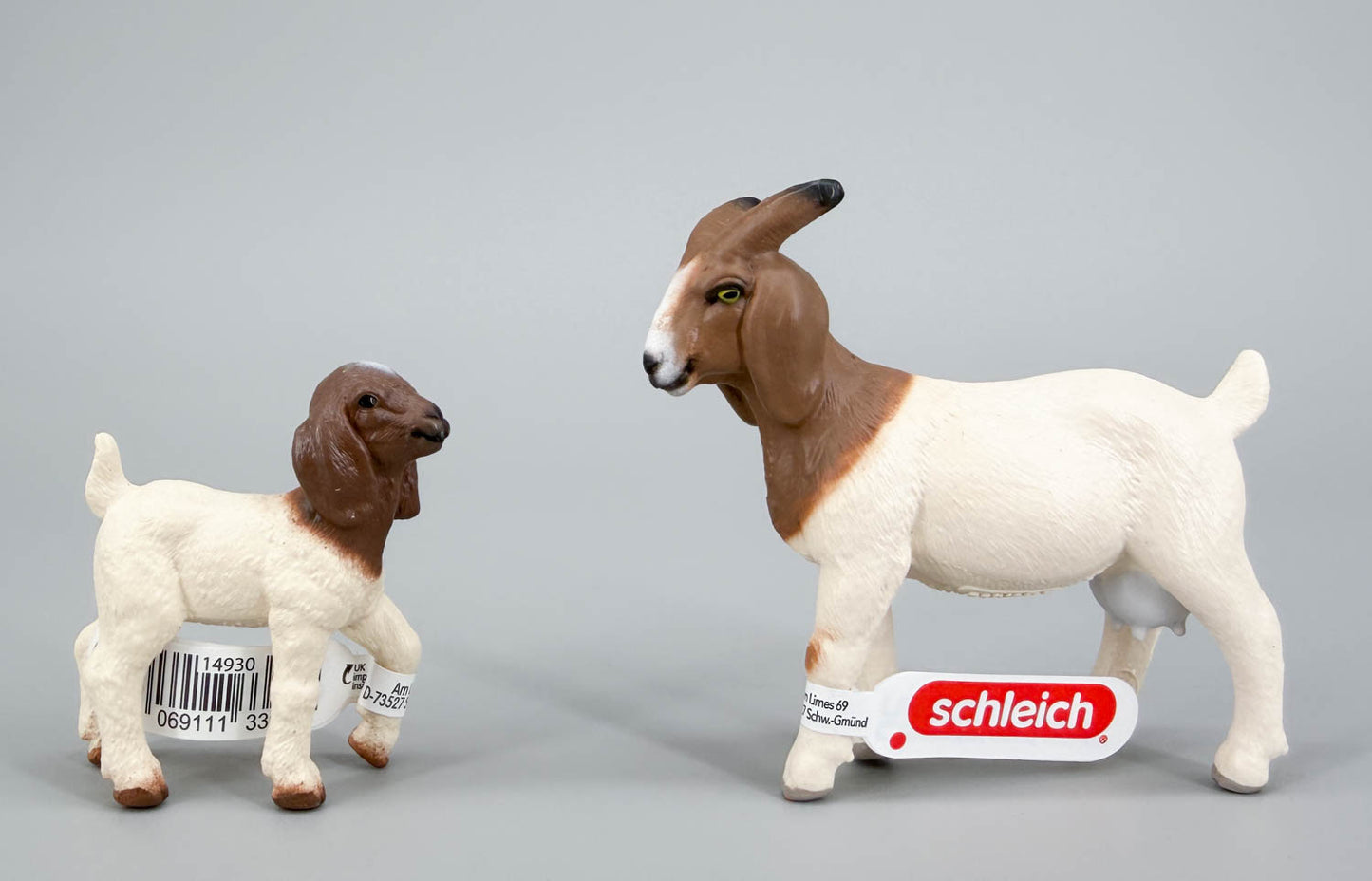 Boer Goat Nanny