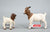 Boer Goat Nanny