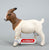 Boer Goat Nanny
