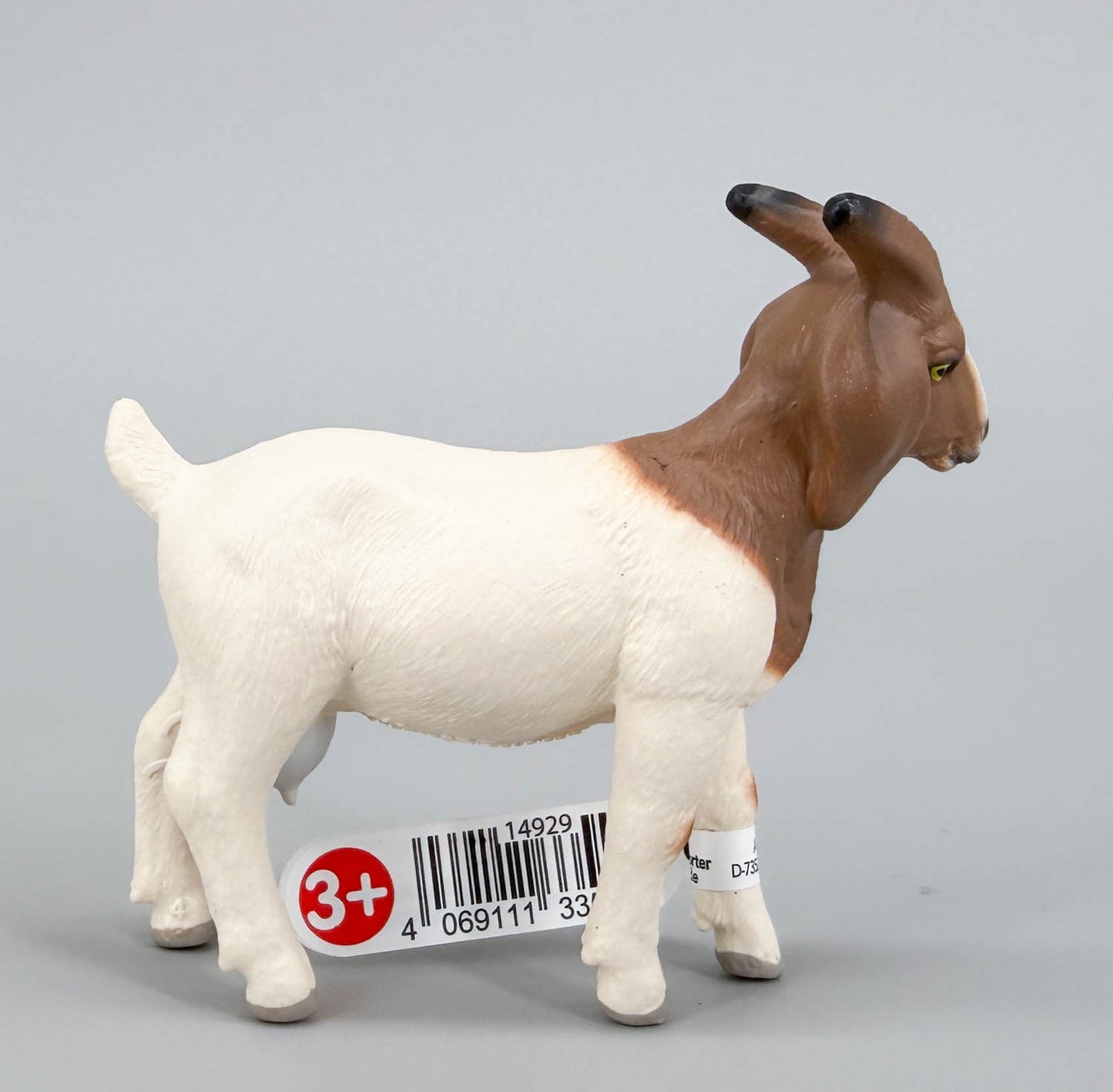 Boer Goat Nanny