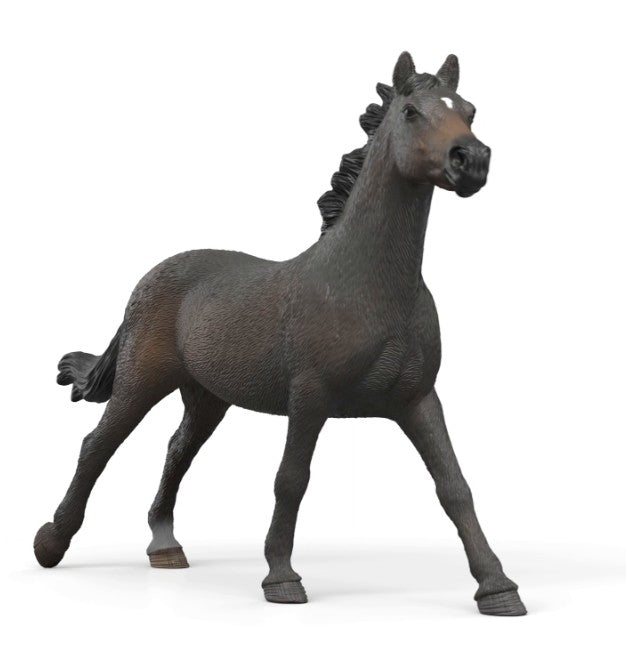 English Thoroughbred Mare - ADVANCE SALE