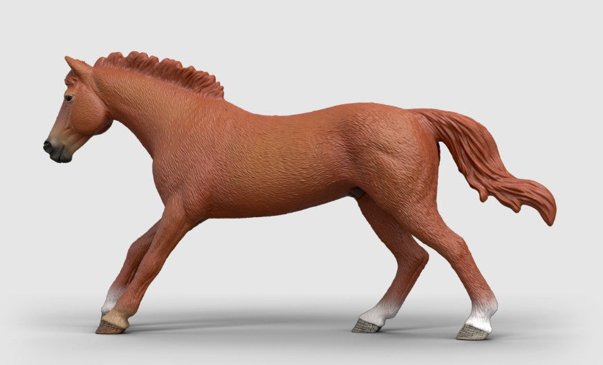 English Thoroughbred Stallion - ADVANCE SALE