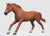 English Thoroughbred Stallion - ADVANCE SALE