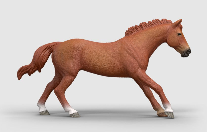 English Thoroughbred Stallion - ADVANCE SALE