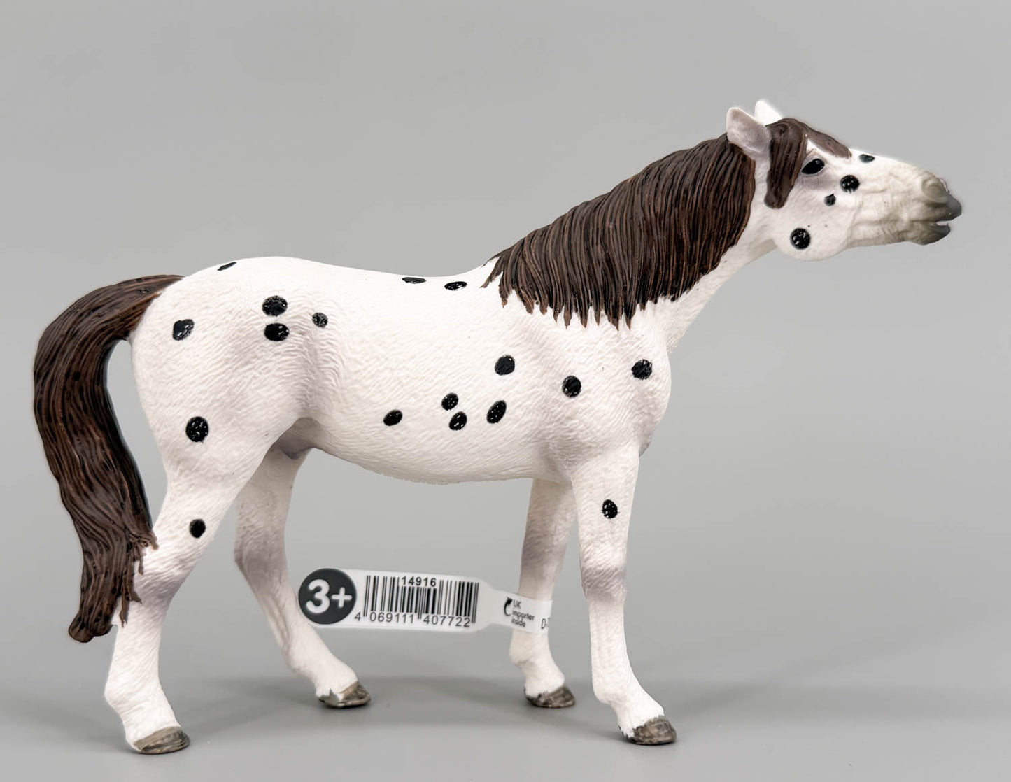 Knabstrupper Gelding