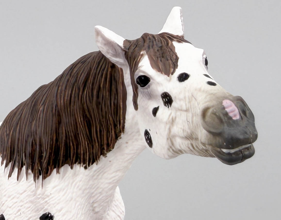 Knabstrupper Gelding