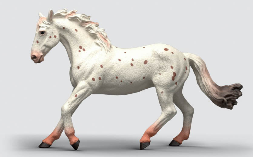 Knabstrupper Mare - ADVANCE SALE