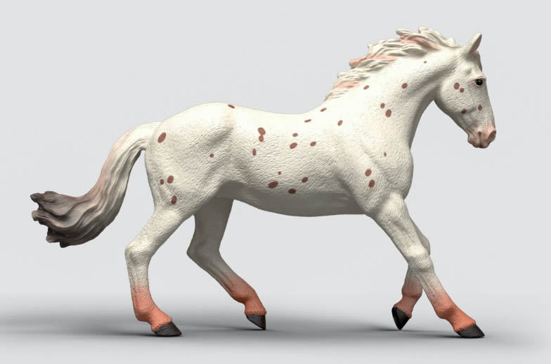 Knabstrupper Mare - ADVANCE SALE