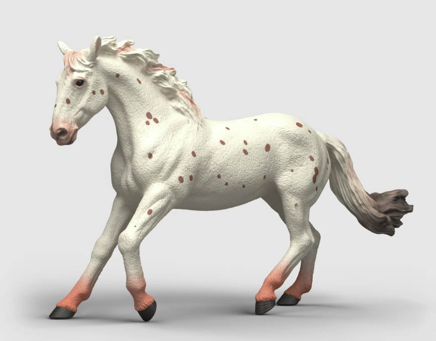 Knabstrupper Mare - ADVANCE SALE