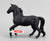 Lusitano Stallion, Black