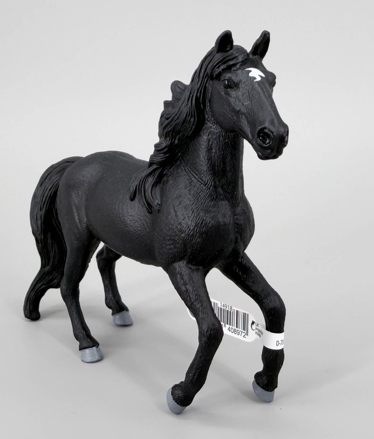 Lusitano Stallion, Black