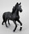 Lusitano Stallion, Black