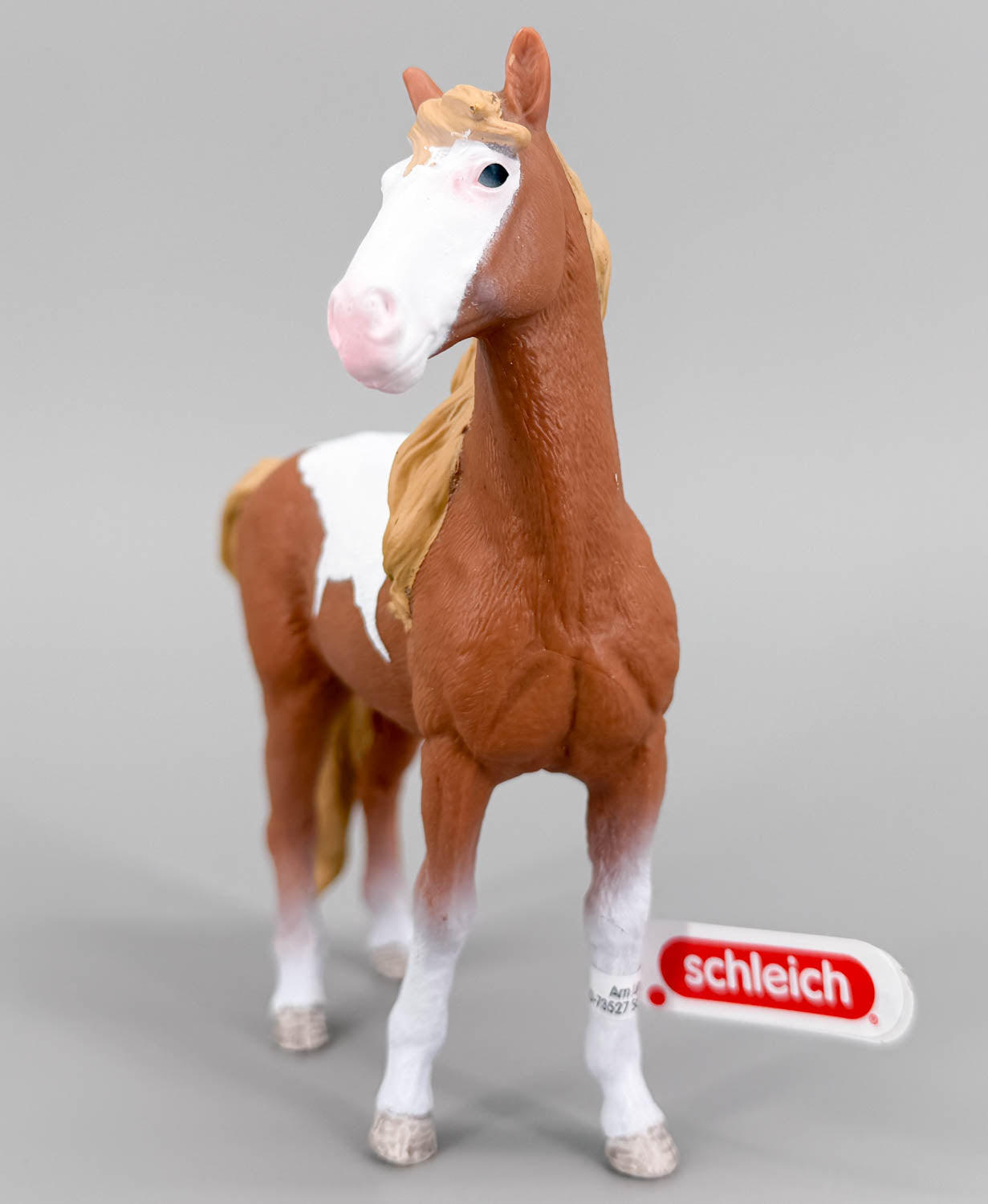 Mustang Mare, Chestnut Pinto