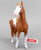 Mustang Mare, Chestnut Pinto