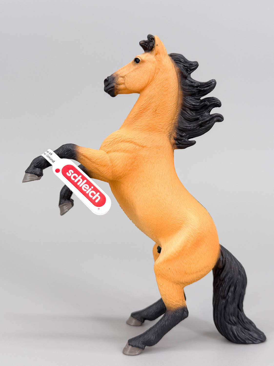 Mustang Stallion, Dun