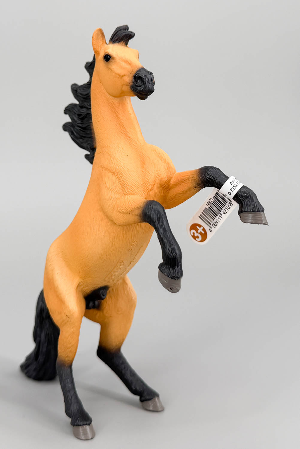 Mustang Stallion, Dun