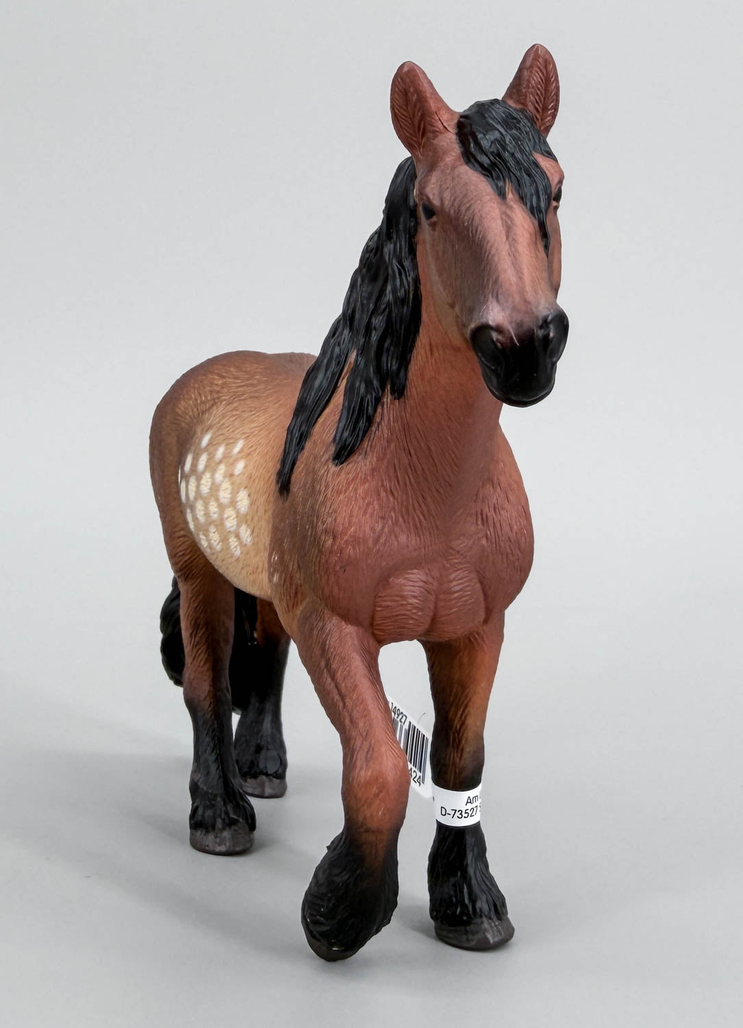 North Swedish Coldblood Mare, Dappled Bay