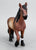 North Swedish Coldblood Mare, Dappled Bay