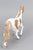 Paint Horse Mare, Chestnut Pinto