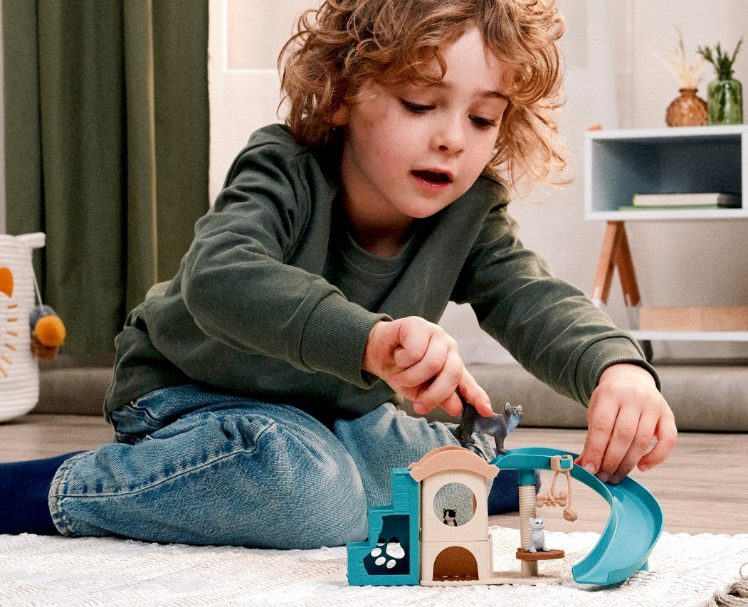 Playfun With Cats - ADVANCE SALE