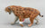 Smilodon (Sabertooth Cat)