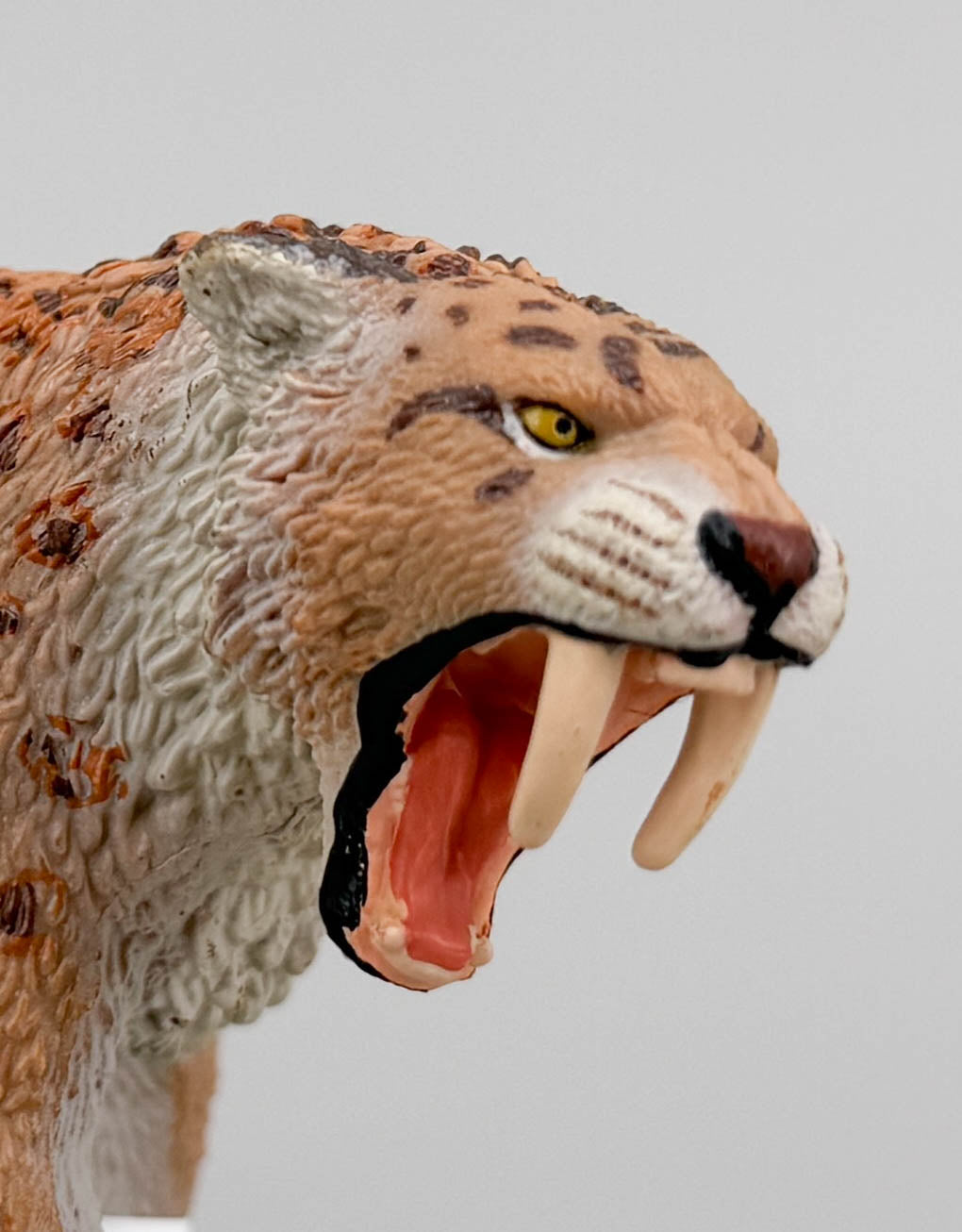 Smilodon (Sabertooth Cat)
