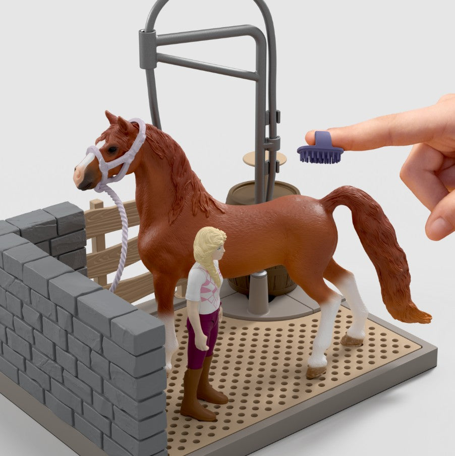 Sofia's Horse Wash with American Saddlebred