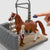 Sofia's Horse Wash with American Saddlebred
