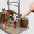 Sofia's Horse Wash with American Saddlebred