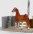 Sofia's Horse Wash with American Saddlebred