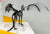 Thestral - Wizarding World of Harry Potter™