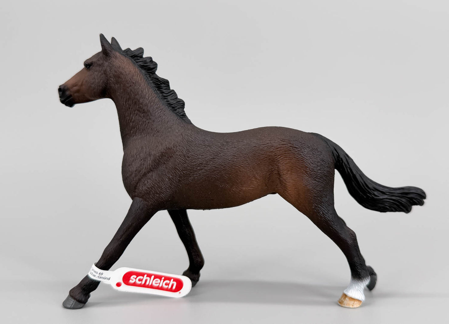 English Thoroughbred Mare