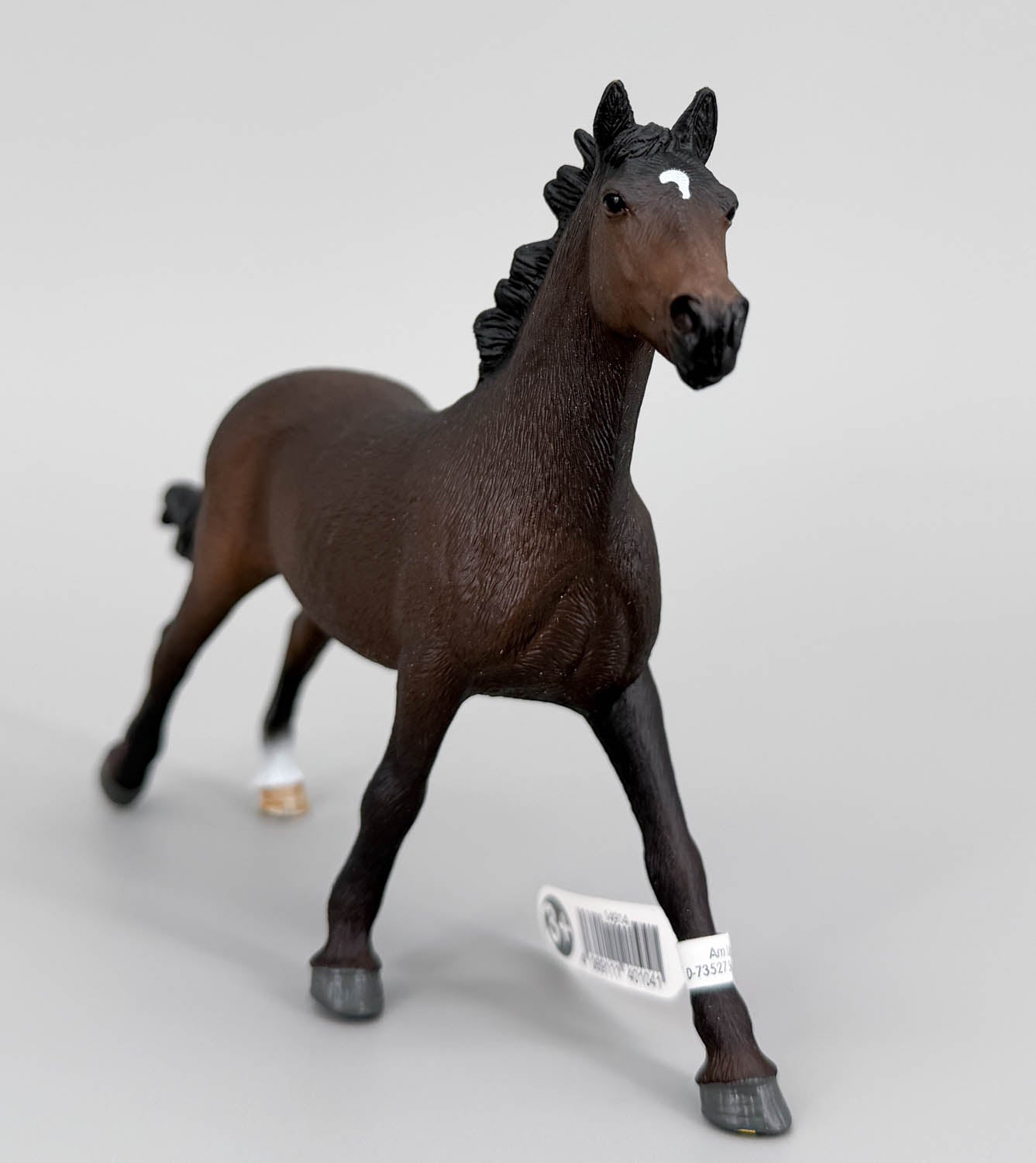 English Thoroughbred Mare