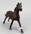 English Thoroughbred Mare