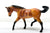 Appaloosa/Stock Horse - FFA Four Horse Gift Set - Tractor Supply SR