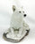 White Wolf Adult, Lying Resin