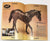 Just About Horses Magazine Vol. 15 No. 2, 1988, May/June