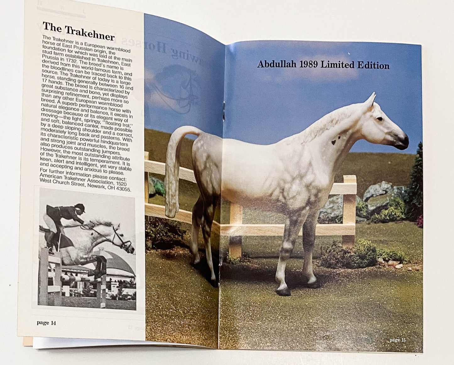 Just About Horses Magazine Vol. 16 No. 1, 1989, Feb/March