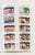 Just About Horses Magazine Vol. 25 No. 5, 1998 Sept/Oct