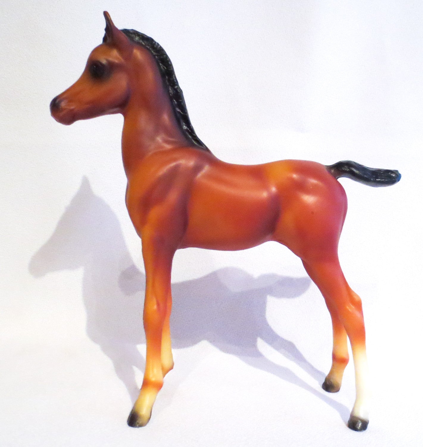 Proud Arabian Foal, Bright Bay - JC Penney SR