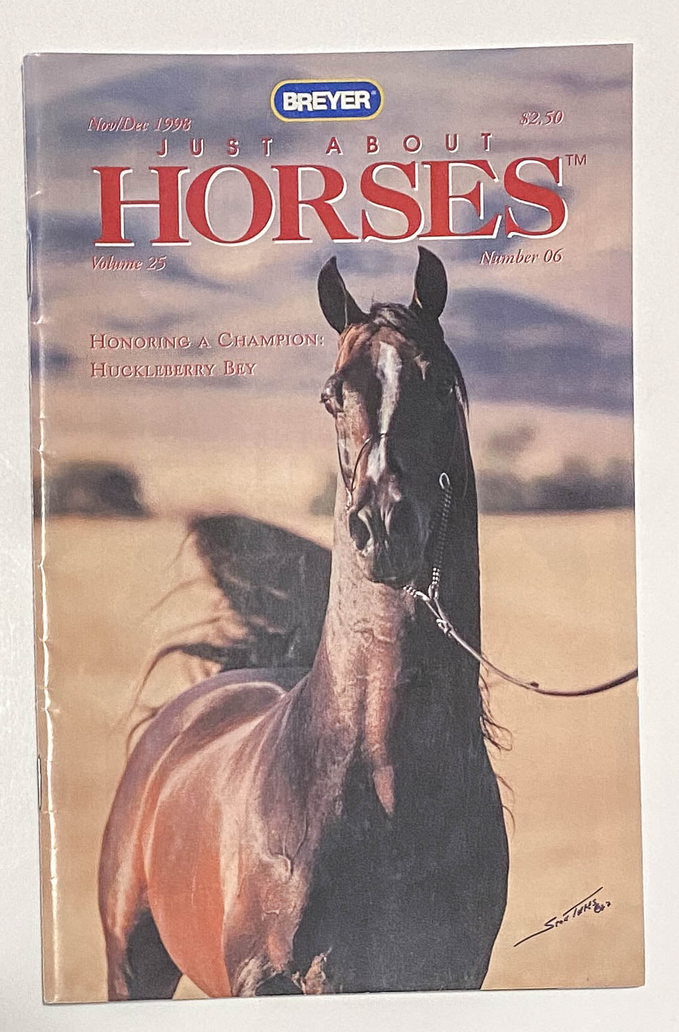 Just About Horses Magazine Vol. 25 No. 6, 1998 Nov/Dec