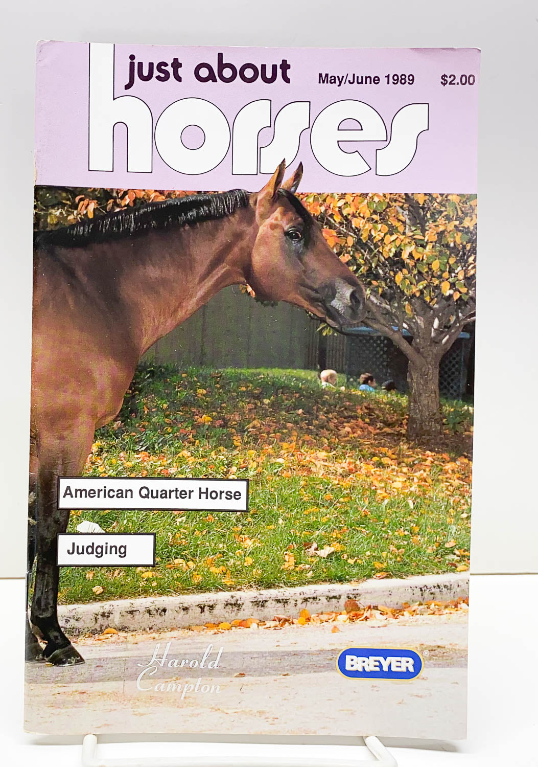 Just About Horses Magazine Vol. 16 No. 2, 1989, May/June