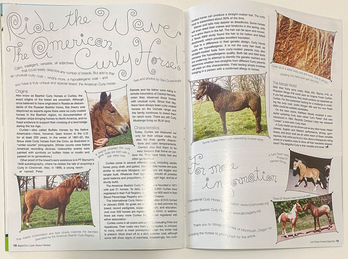 Just About Horses Magazine Vol. 31, No. 5, 2004 Sept/Oct