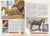 Just About Horses Magazine Vol. 33, No. 3, 2006 May/June