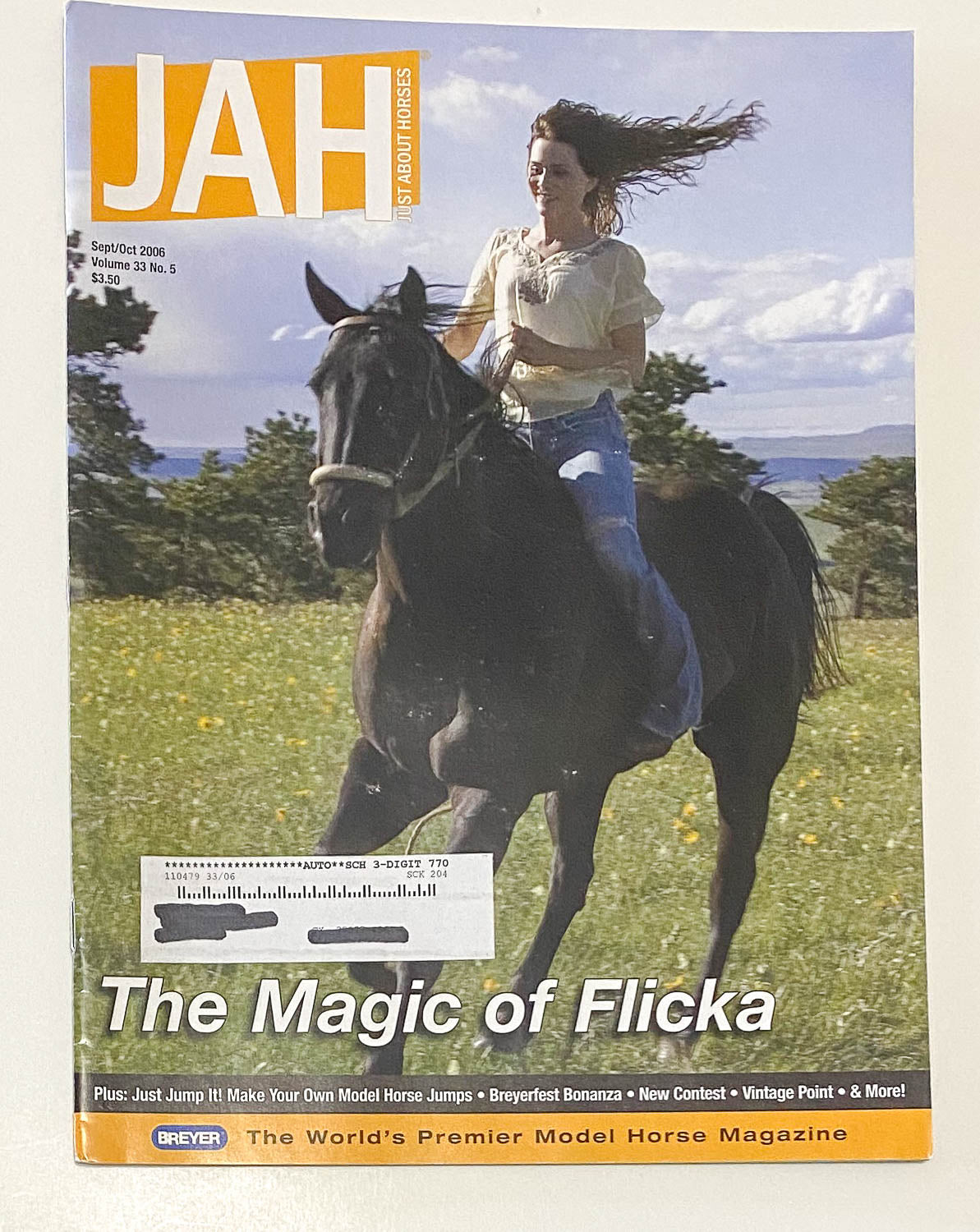 Just About Horses Magazine Vol. 33, No. 5, 2006 Sept/Oct