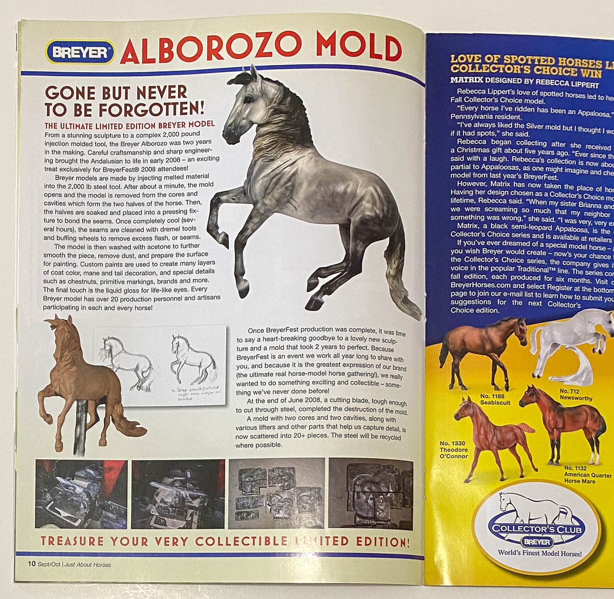 Just About Horses Magazine Vol. 35, No. 5, 2008 Sept/Oct