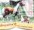 Just About Horses Magazine Vol. 23 No. 2, 1996 March/April